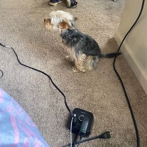 Meet your Posher, Darnell